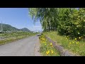 [VR180 3D] 5 min static japanese nature scenes 014 [Insta360 EVO 5.7K]