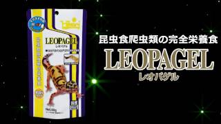 LEOPAGEL（レオパゲル）プロモーションムービー