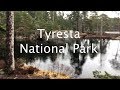 Tyresta National Park - April 2018