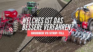 Versuchs Auswertung. Grubber gegen Strip-Till. Welches Verfahren ist besser? screenshot 3