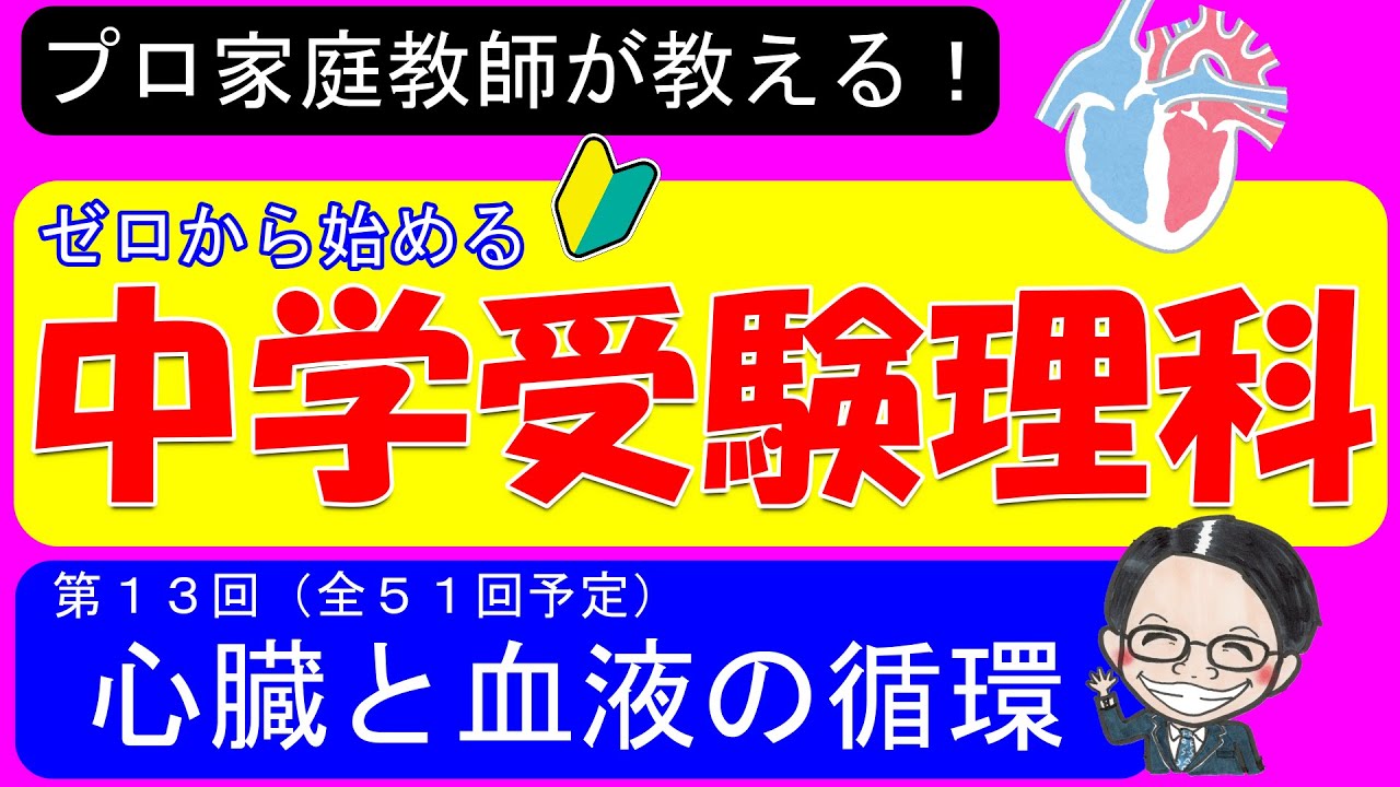 【中学受験理科】血液とその循環が２０分で分かる！【ゼロから始める中学受験理科 第１３回】