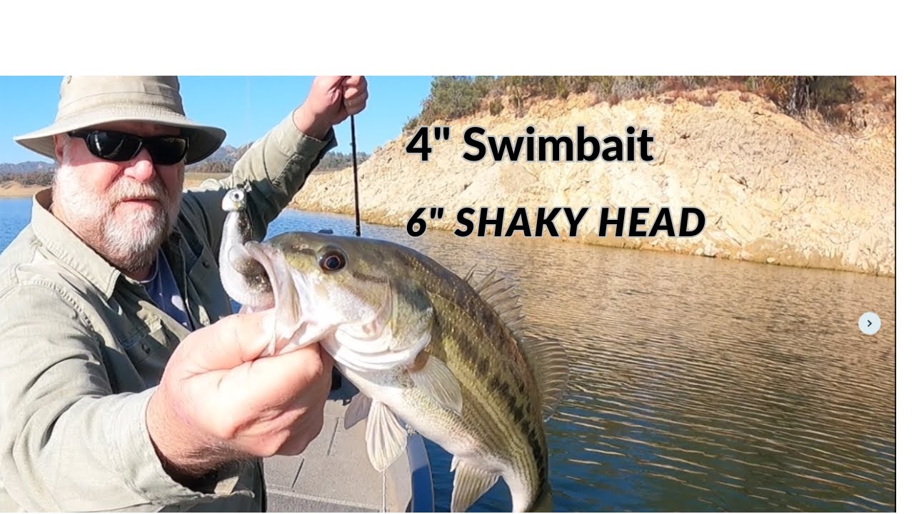 All Winter long, you can catch BASS with these 2 BAITS