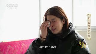 《乡理乡亲》 20230812 割不断的血脉亲情|农业致富经 Agriculture And Farming