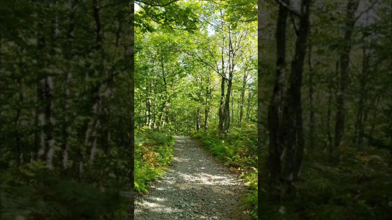 Coxheath Mountain 3.68 Km Hike-September 17, 2021