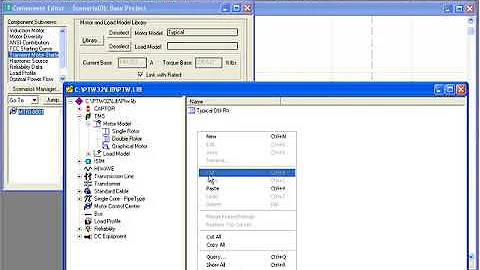 SKM Power*Tools (PTW TMS)