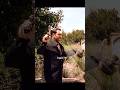 #movie Machete's Revenge: Security Guard QUITS on the Job! | Machete (2010) Scene Edit