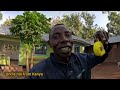 Surprised Congrats Mum with healing medicine. Africa