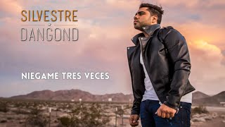 Video thumbnail of "Niégame Tres Veces, Silvestre Dangond - Letra Oficial"