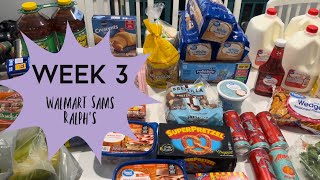 $250 week 3 grocery haul  March 2024