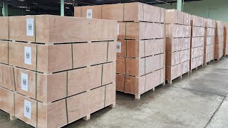 Nationwide Shipping Today OR Visit SaferWholesale In New Lenox Illinois