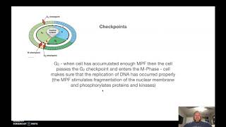 Grizzly Science AP Biology Chapter 12 The Cell Cycle