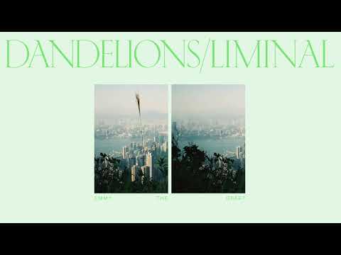 Emmy The Great - Dandelions/Liminal