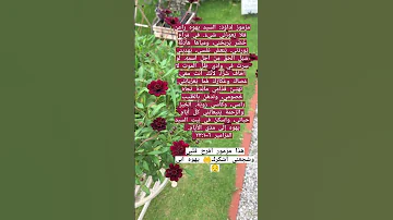 مزمور 23 من كتاب المقدس 