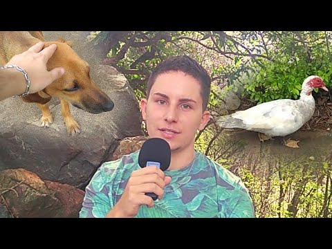 ASMR NA NATUREZA + MOTIVAÇÃO 🌳