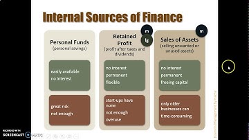 IB Business Management 3.1 Part 1