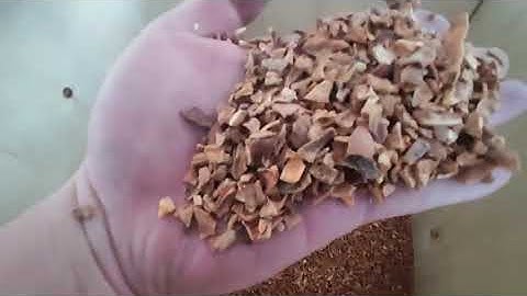 AMD  Walnut /Almond nut/Pine nut/Pistachios  InGaAs Sorting Machine Solution