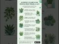 8 Perfect Plants for People Who Travel a Lot 🌿✈️🪴 #Houseplants #TravelFriendlyPlants #PlantFlow
