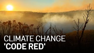 Climate Change the ‘Code Red' for Humanity: Report screenshot 2