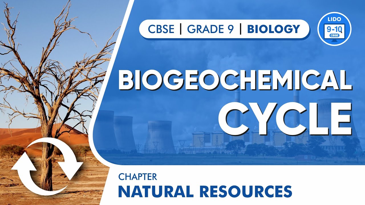 Biogeochemical Cycle | Natural Resources | Class 9 Biology Chapter 14 ...