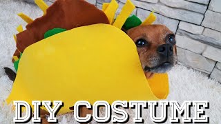 Download lagu DIY TACO DOG COSTUME DIY TACO DOG COSTUME