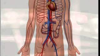 How to Measure Vital Signs