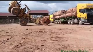 Awesome Operator | Old CATERPILLER | Small Shovel Big Logs