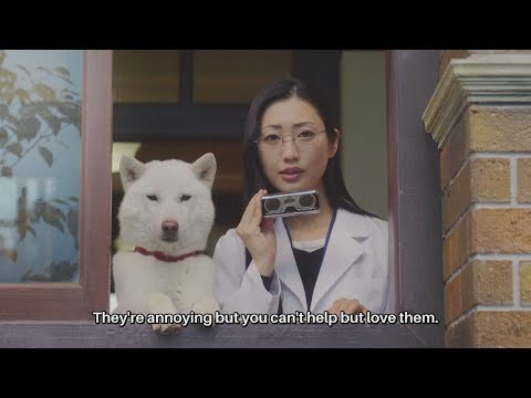 杉咲花 ソフトバンク CM スチル画像。CM動画を再生できます。 杉咲花 ソフトバンク CM スチル画像。CM動画を再生できます。