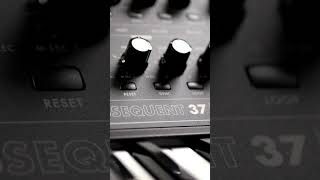 Moog Subsequent 37 – Melodic Sequences #shorts