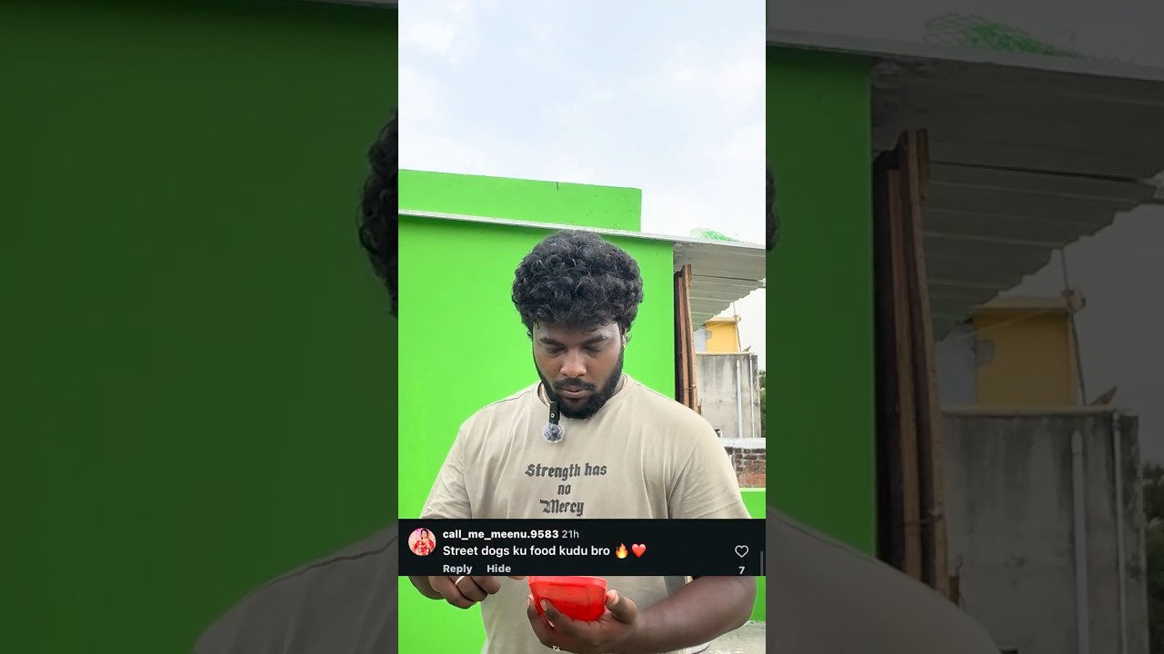 Makkal task street dogs food challenge ❤️ #challenge #dailyvlog #makkaltask #entertainment