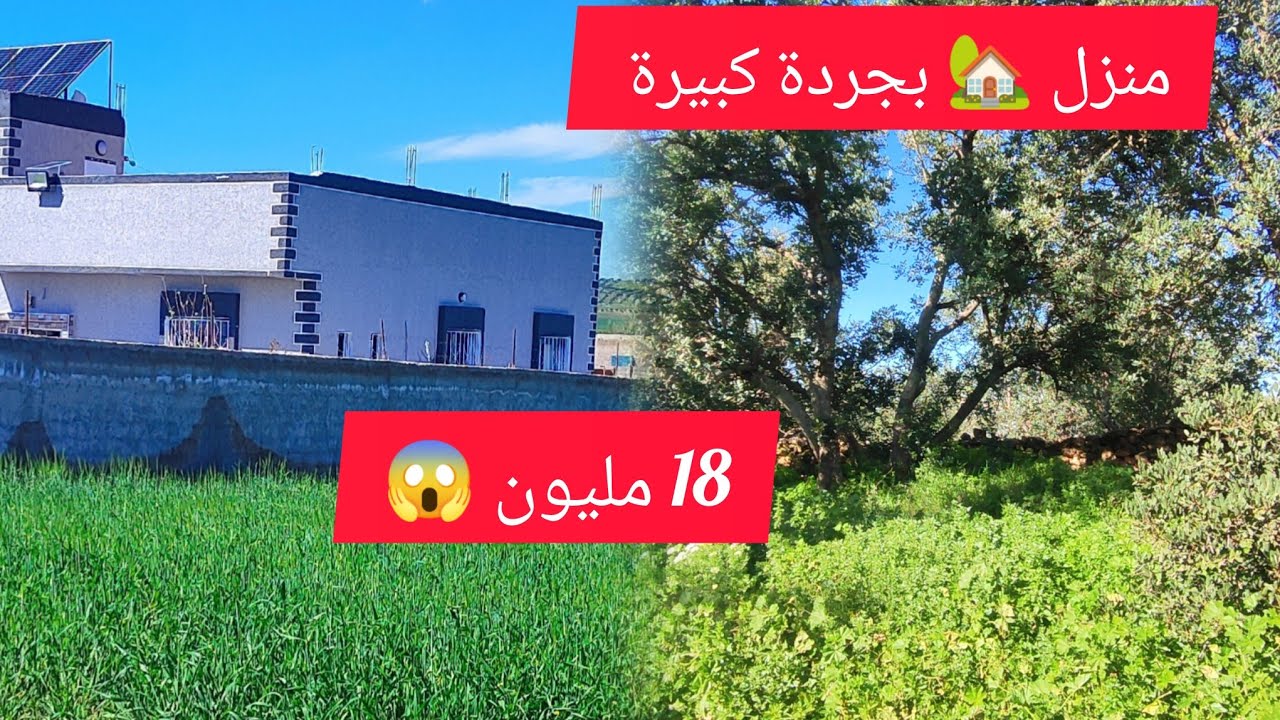 من اجمل المنازل في البادية والطبيعة منزل مستقل غير ب 18 مليون سنتيم عند واحد الجردة كبير ما شاء الله