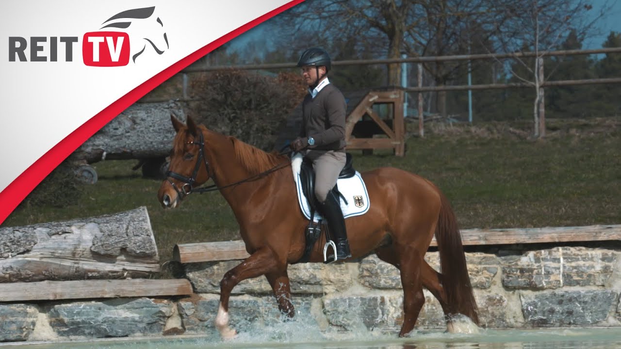 Homestory | Michael Jung - Der Grand-Slam-Gewinner verrät sein Erfolgsgeheimnis