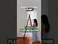 Setting up a PLANT INSTALLATION #shorts #plants #houseplants #indoorplants #growlights #succulent