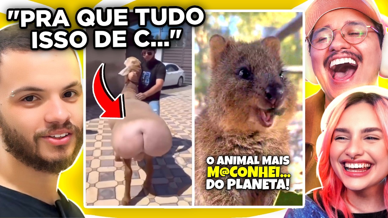 até o WILD ficou SURPRESO com essas CURIOSIDADES CURIOSAS