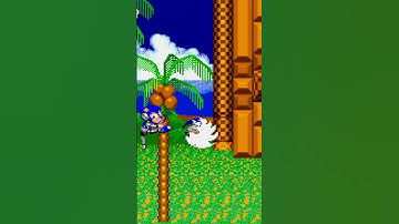 WHITE SONIC IN SONIC THE HEDGEHOG 2! #shorts #sonic #sonicthehedgehog #sonicromhacks #sonic2