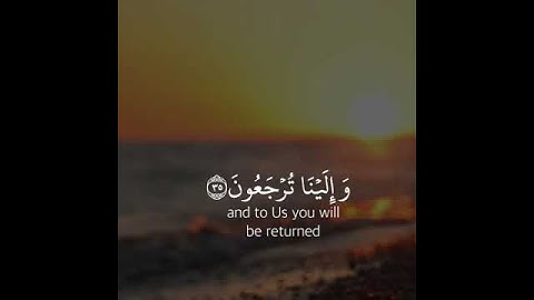 كل نفس ذائقة الموت// القارئ اسلام صبحي تلاوة القرآن الكريم