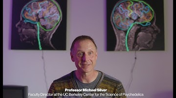 Psychedelics change how we see the world. A UC Berkeley study aims to find out why.