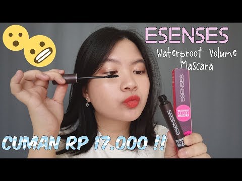 GUE TEST MASCARA MANA YANG BENERAN WATERPROOF!  Wardah,Pixy,Mizzu,QL atau Emina?. 