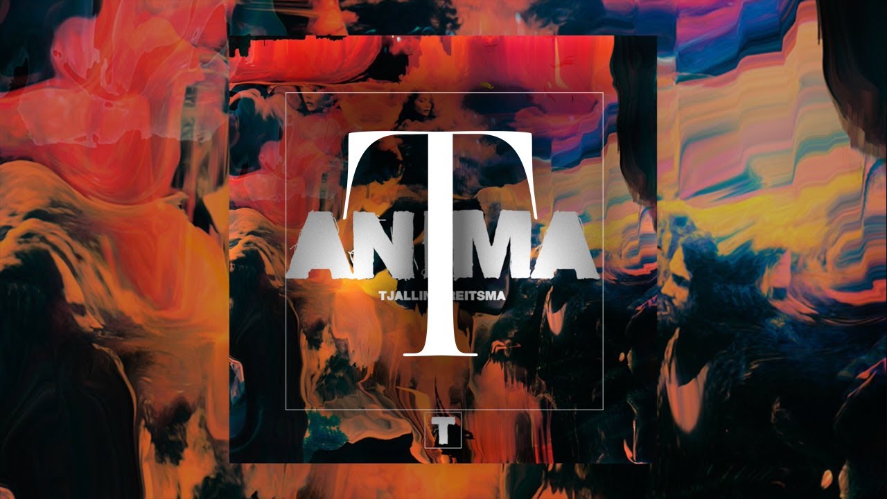 Tjalling Reitsma - ANIMA
