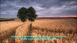 İNSAN-(İNSÂN)-SURESİ-Ebubekir Şatiri-Abu Bakr Al Shatri