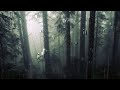 the hanging tree - jennifer lawrence & james howard // with Rain // (Slowed   Reverb   Loop)