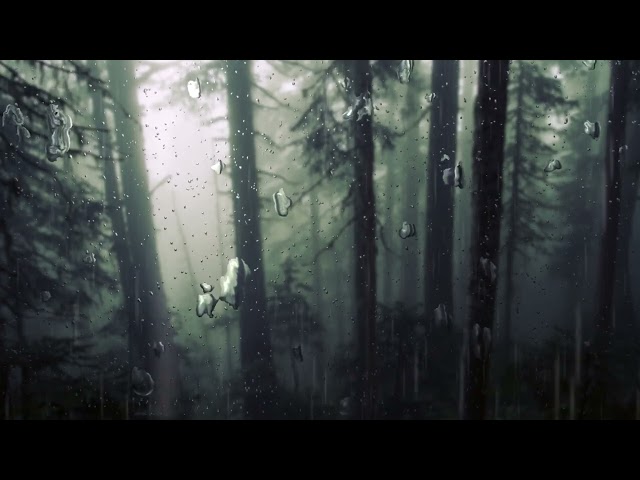 the hanging tree - jennifer lawrence & james howard // with Rain // (Slowed + Reverb + Loop) class=