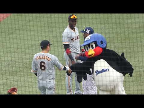 【オープン戦2019】3/16：つば九郎とバレンティンとGのおとももち