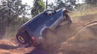 Wild Mitsubishi Pajero, at Glasshouse