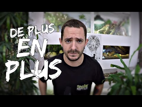 majorque hotel De plus en plus nombreuses !