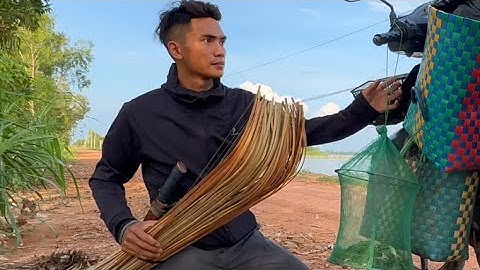 Cắm Câu Cá Lóc Vùng Biên Giới Vừa Cắm Xong Quay Lại Là Dính Nửa Thùng Cá