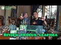 Review produk leafhea terbaru 2022-Leafhea legend