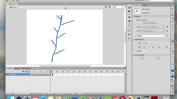 Flash CS6 Introduction