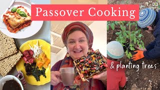 PASSOVER RECIPES & MATZAH FUN! Top Google Questions about Pesach & Planting Trees in Spring