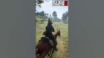 RDR 2 Fighting #rdr2 #shorts #rockstargames #gta6