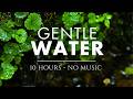 10 HOURS of GENTLE Sounds of Water with No Music / Birdsong